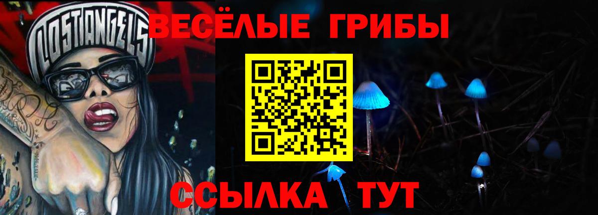 Жуковский  Галлюциногенные грибы Cubensis  Вход с VPN 